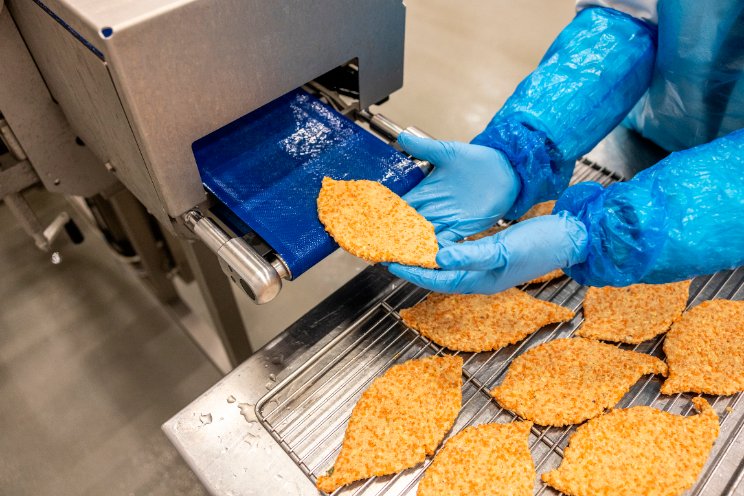 Plantaardige burgers voor horeca en zorg Plantaardige burgers voor horeca en zorg