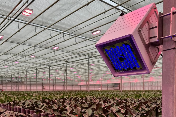 Nominatie CF2GO-sensor Nominatie CF2GO-sensor