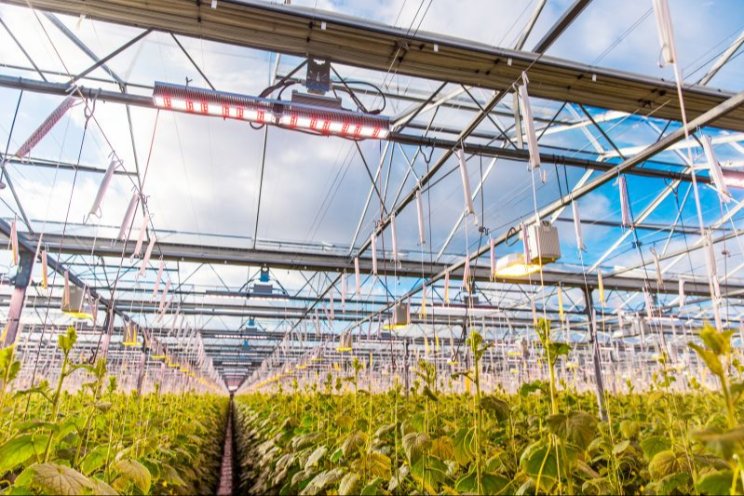 Sleutelrol voor tuinbouw!
