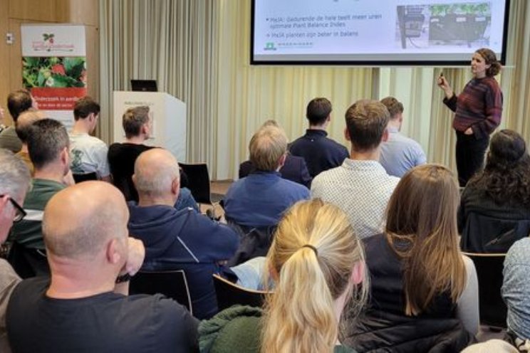Weerbaar systeem en aardbei in balans telen Weerbaar systeem en aardbei in balans telen
