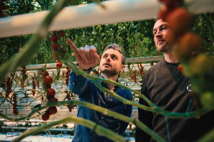 Miljoeneninvestering voor AI in glastuinbouw Miljoeneninvestering voor AI in glastuinbouw
