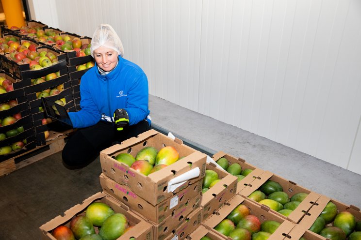 Ripening App brengt innovatie in rijpproces Ripening App brengt innovatie in rijpproces