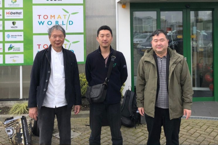 Japanse professoren bezoeken Tomatoworld