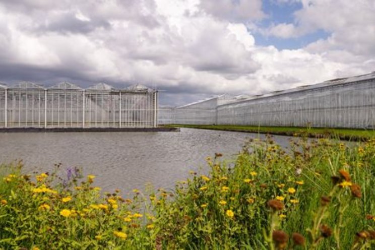Jaarplan 2025: Netwerk Jaarplan 2025: Netwerk