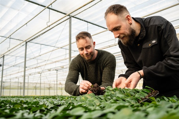 Samenwerking Soiltech, Benfried en Beautyplants