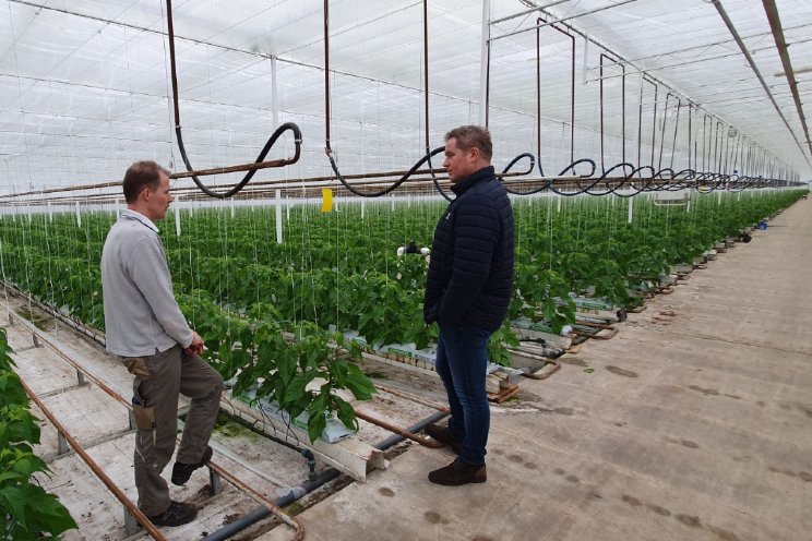 Tevreden peperteler stapt volledig over op Growbags Tevreden peperteler stapt volledig over op Growbags