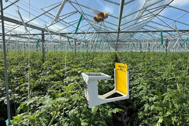 Hommel vliegt mobiele Trap-Eye door hele kas
