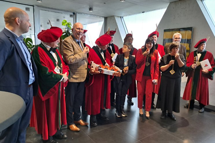 Nieuwe ridder van de Hoogstraten aardbei Nieuwe ridder van de Hoogstraten aardbei