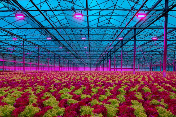 DLC listing watergekoelde LED-armarturen Oreon