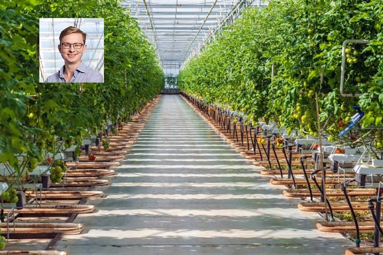 Rioolslib als fosforbron voor de glastuinbouw? Rioolslib als fosforbron voor de glastuinbouw?