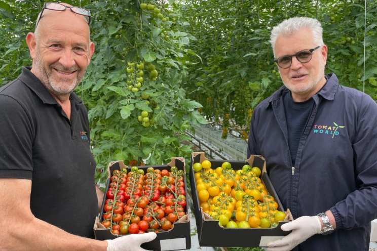 Van Geest nieuwe afnemer en partner Tomatoworld Van Geest nieuwe afnemer en partner Tomatoworld