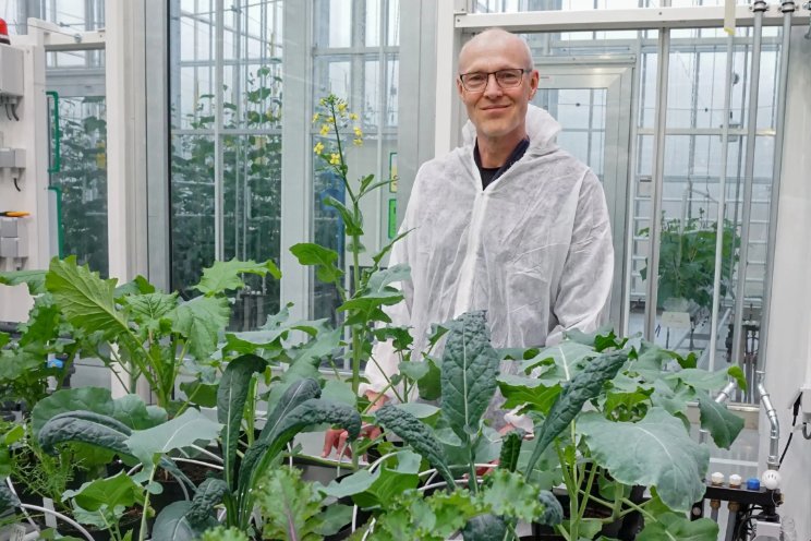 'Gezonde inhoudsstoffen identificeren' 'Gezonde inhoudsstoffen identificeren'
