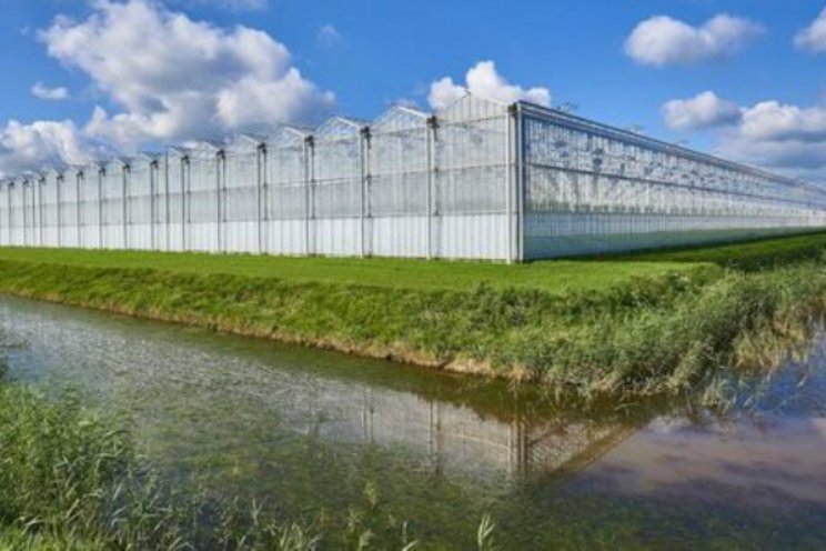 Hogescholen presenteren klimaattool voor telers Hogescholen presenteren klimaattool voor telers