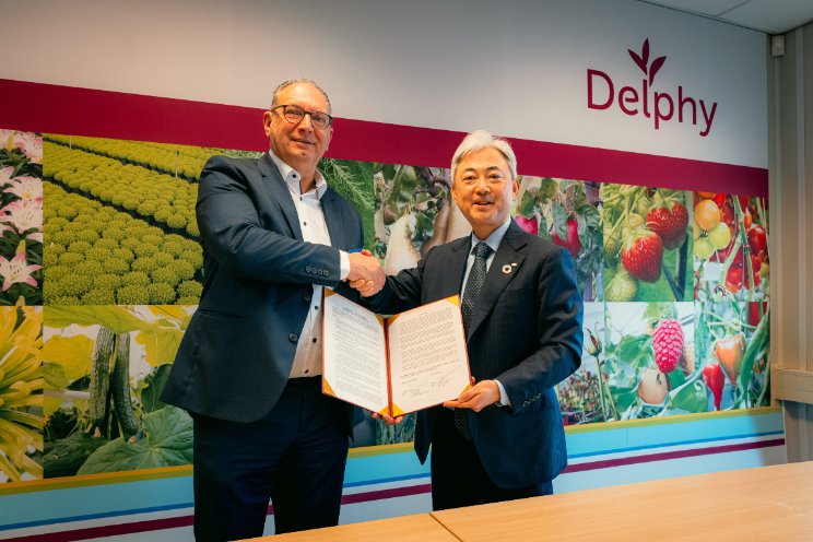 DENSO en Delphy samen in datagedreven tuinbouw