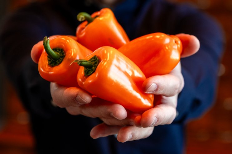 'Smaakpaprika's voorzien in consumentenbehoefte'