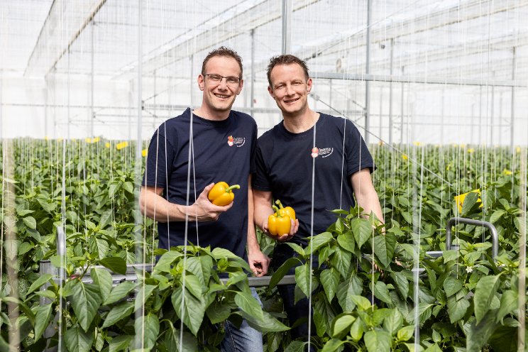 Jansen Paprika koopt naastgelegen paprikakas Jansen Paprika koopt naastgelegen paprikakas