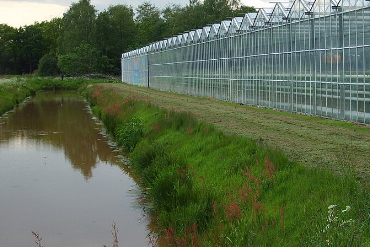 Kwantificering waterige reststromen tuinbouw Kwantificering waterige reststromen tuinbouw