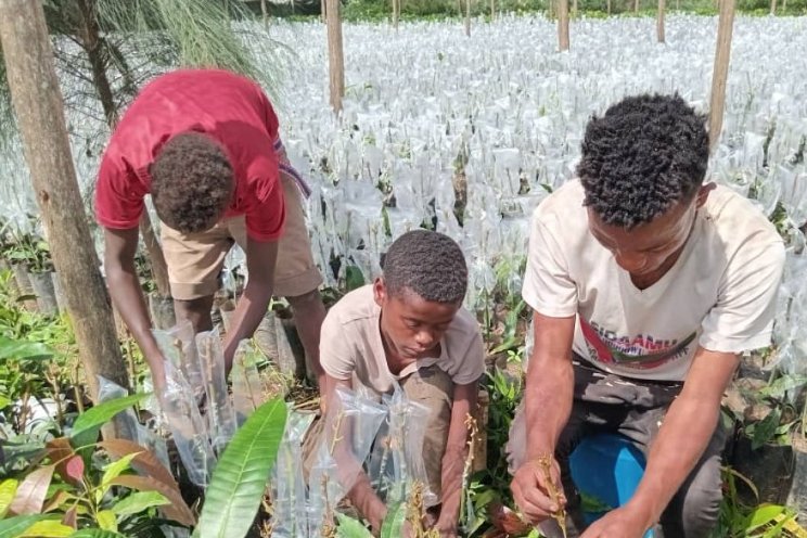 Zaaisector in Ethiopië wordt marktgedreven Zaaisector in Ethiopië wordt marktgedreven