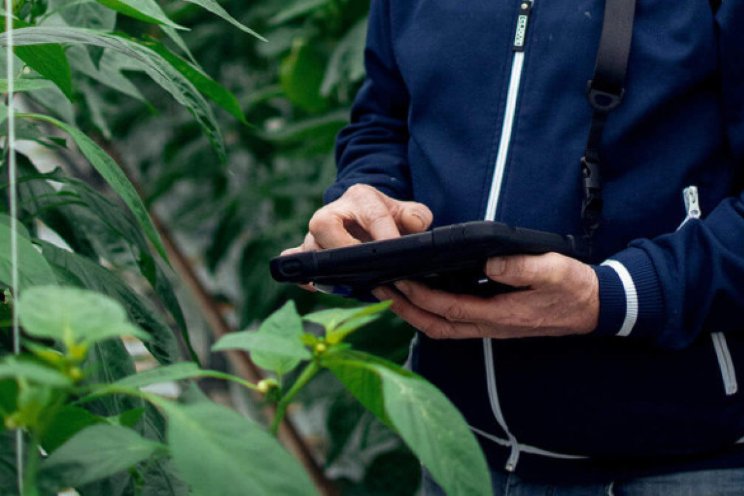 Partnerschap Source.ag met Wireless Value Partnerschap Source.ag met Wireless Value