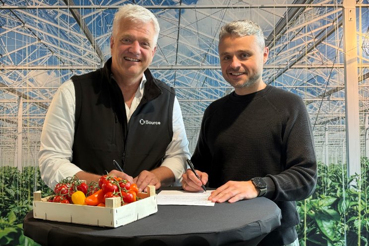 AI-tool Harvest Forecast voor gehele tomatenareaal