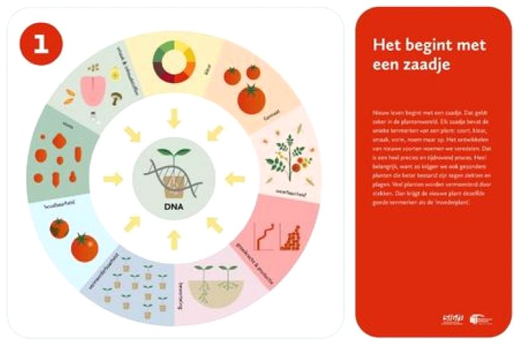 Vijf verhaallijnen nu ook met groente-afbeeldingen