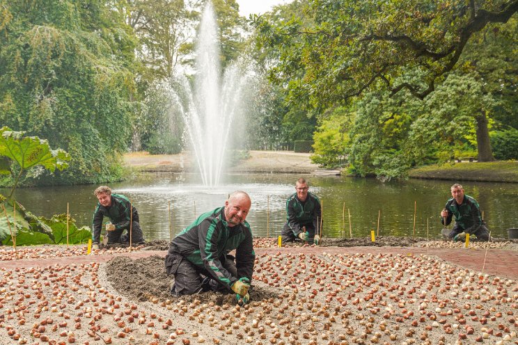 Eerste bollen de grond in voor Keukenhof 2024 Eerste bollen de grond in voor Keukenhof 2024