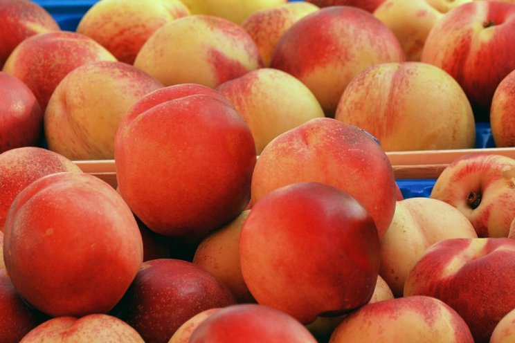 Halffabrikaten uit reststromen fruit