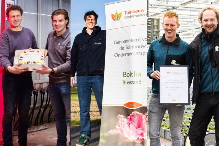Nominaties TO-prijs Nominaties TO-prijs