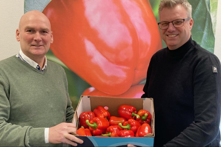 Eerste rode paprika voor het goede doel geveild Eerste rode paprika voor het goede doel geveild