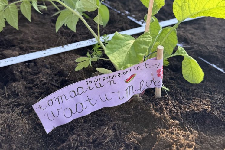 Agro Care sponsort groen schoolplein in Westland