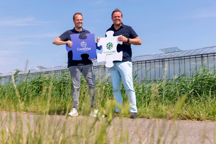 ACM geeft groen licht voor tomatenfusie ACM geeft groen licht voor tomatenfusie