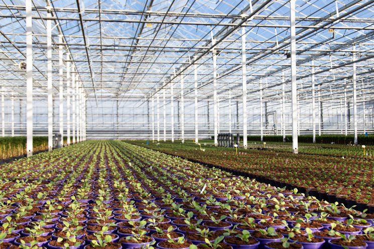 Impact van efficiënt telen Impact van efficiënt telen