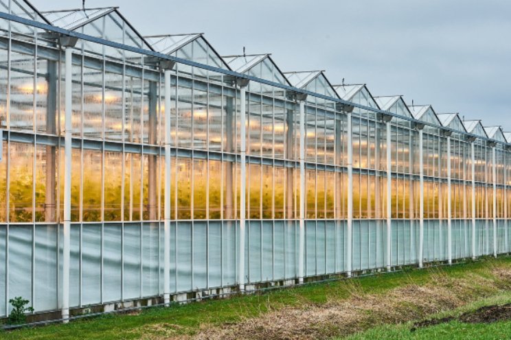 Noord-Hollandse boeren en telers komen in actie Noord-Hollandse boeren en telers komen in actie