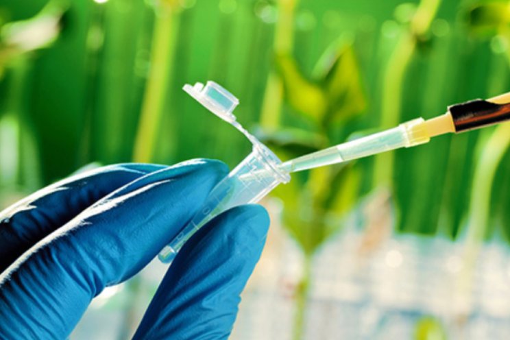 CRISPR-Cas stap dichterbij CRISPR-Cas stap dichterbij