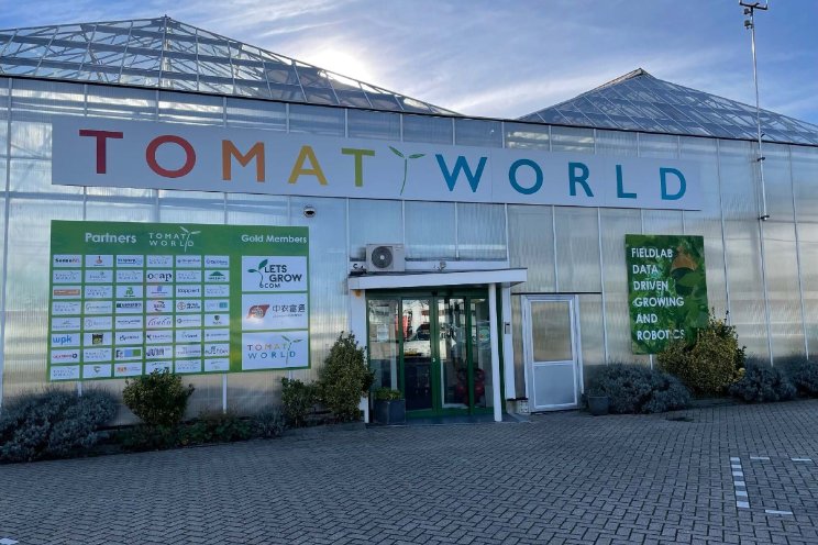 Morgen: Tomatoworld Morgen: Tomatoworld