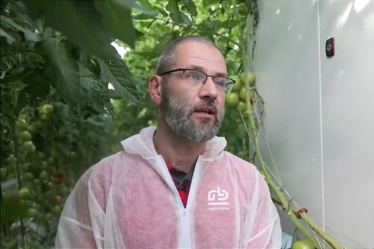 Jaarrond duurzame tomatenteelt in Zweden Jaarrond duurzame tomatenteelt in Zweden