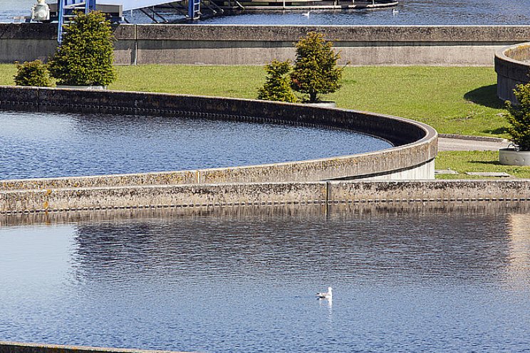 Kwaliteit gietwater uit effluent prima te borgen Kwaliteit gietwater uit effluent prima te borgen