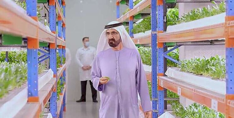 Vertical Farming Wednesday... Koninklijk bezoek Vertical Farming Wednesday... Koninklijk bezoek