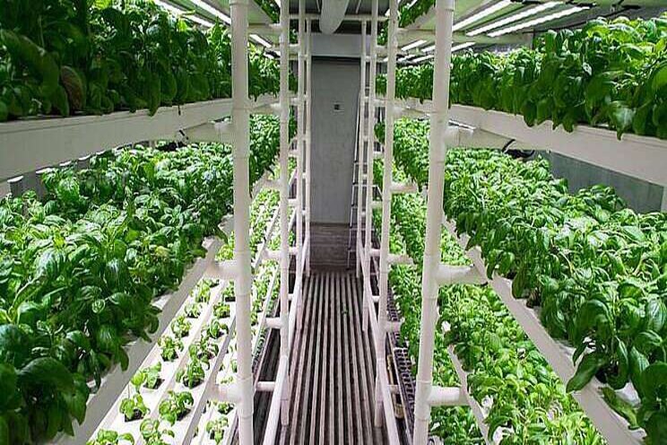 Vertical Farming Wednesday... Indoor farms op De Filipijnen Vertical Farming Wednesday... Indoor farms op De Filipijnen