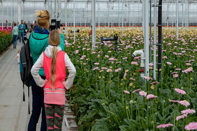 Kom in de Kas start voorbereiding op 2022 Kom in de Kas start voorbereiding op 2022
