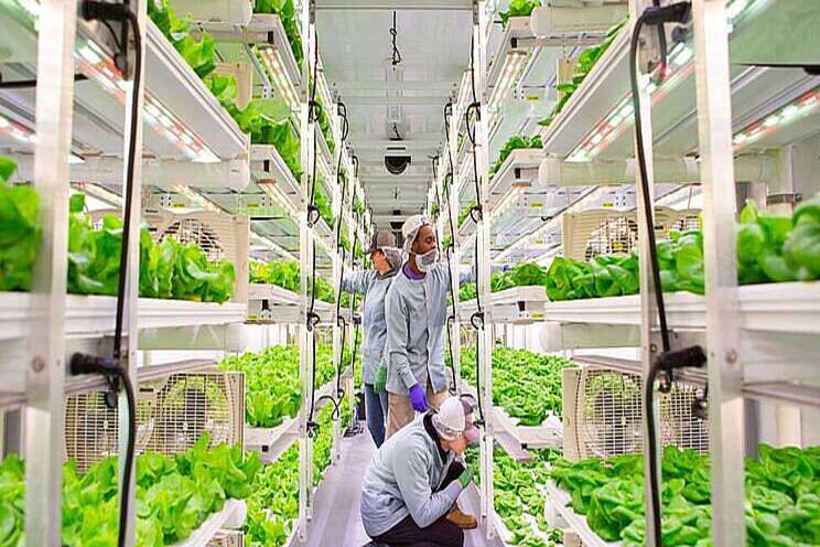 Vertical Farming Wednesday... Vertical Roots naar Atlanta Vertical Farming Wednesday... Vertical Roots naar Atlanta